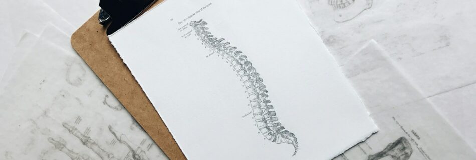 brown and black clipboard with white spinal cord print manual